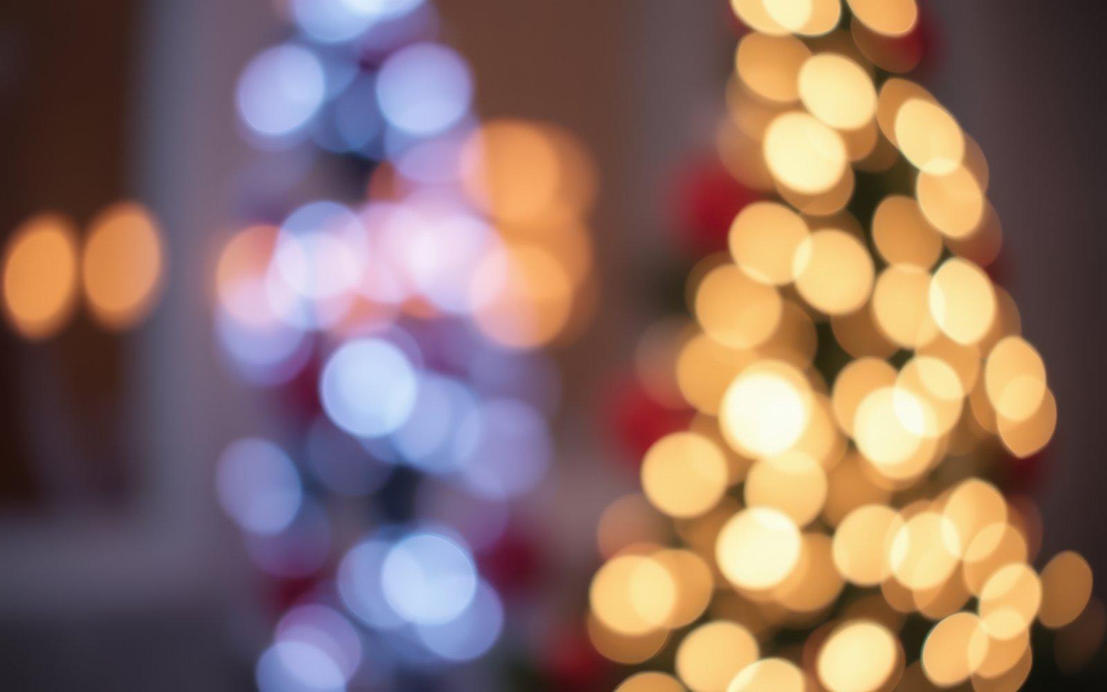 Softly glowing holiday lights decorate festive trees in a cozy indoor space during the winter season